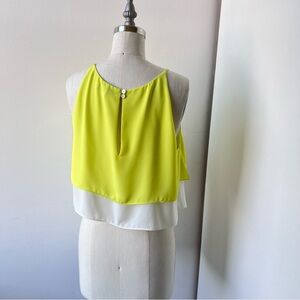 Elizabeth and James Fluorescent silk top